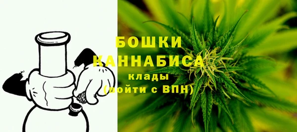 прущие грибы Покров
