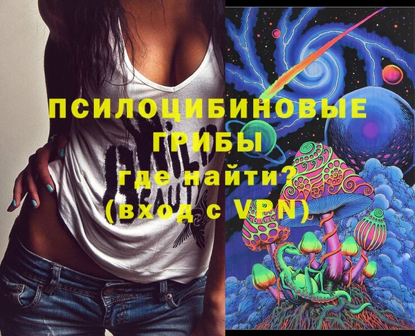 гидропоника Абаза