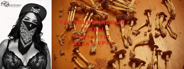 крисы Белая Калитва